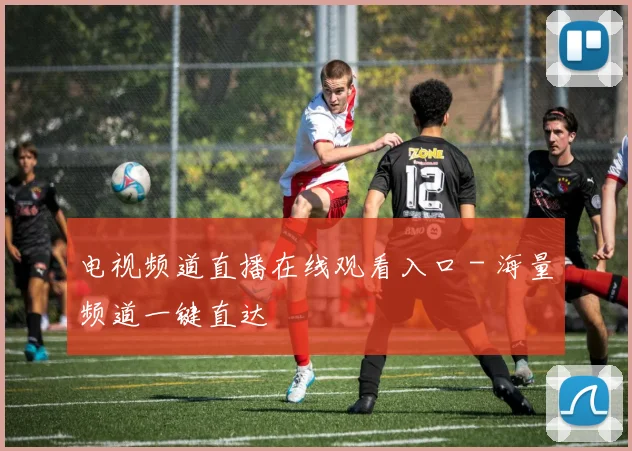 电视频道直播在线观看入口 - 海量频道一键直达