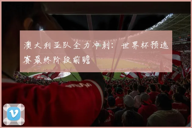 澳大利亚队全力冲刺：世界杯预选赛最终阶段前瞻
