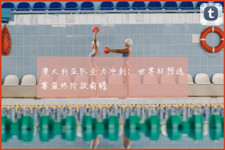 澳大利亚队全力冲刺:世界杯预选赛最终阶段前瞻