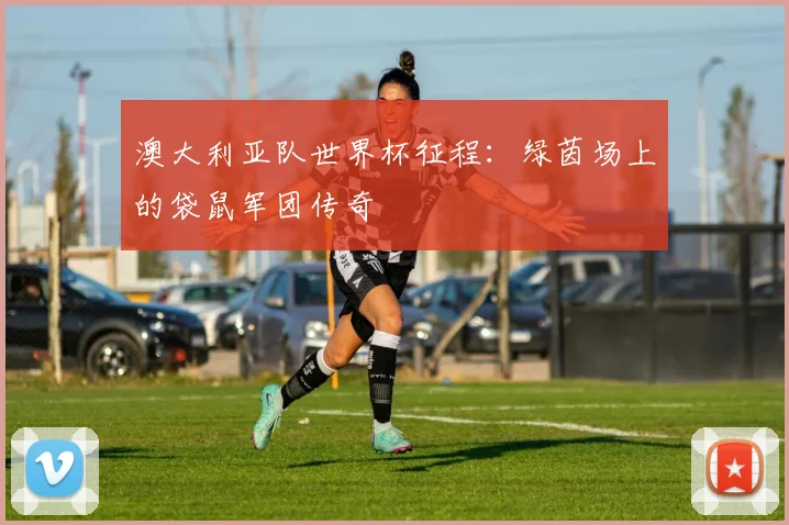 澳大利亚队世界杯征程：绿茵场上的袋鼠军团传奇