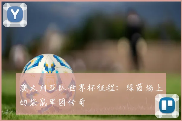 澳大利亚队世界杯征程:绿茵场上的袋鼠军团传奇