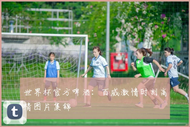 世界杯官方啤酒：百威激情时刻高清图片集锦