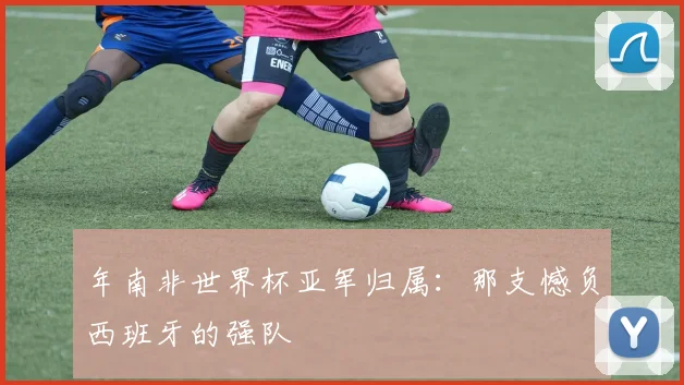 年南非世界杯亚军归属：那支憾负西班牙的强队