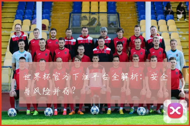 世界杯官方下注平台全解析：安全与风险并存？