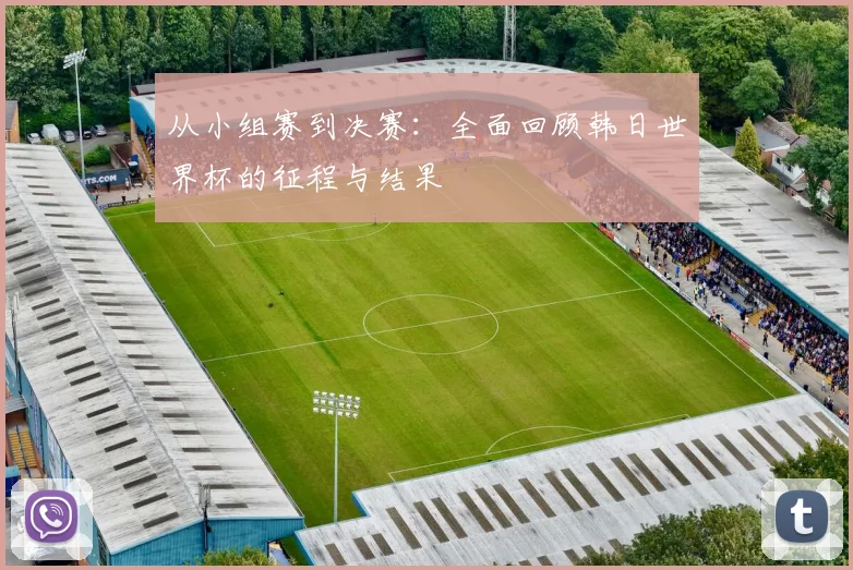 从小组赛到决赛：全面回顾韩日世界杯的征程与结果